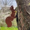 Baumstecker Rost Eichhörnchen laufend